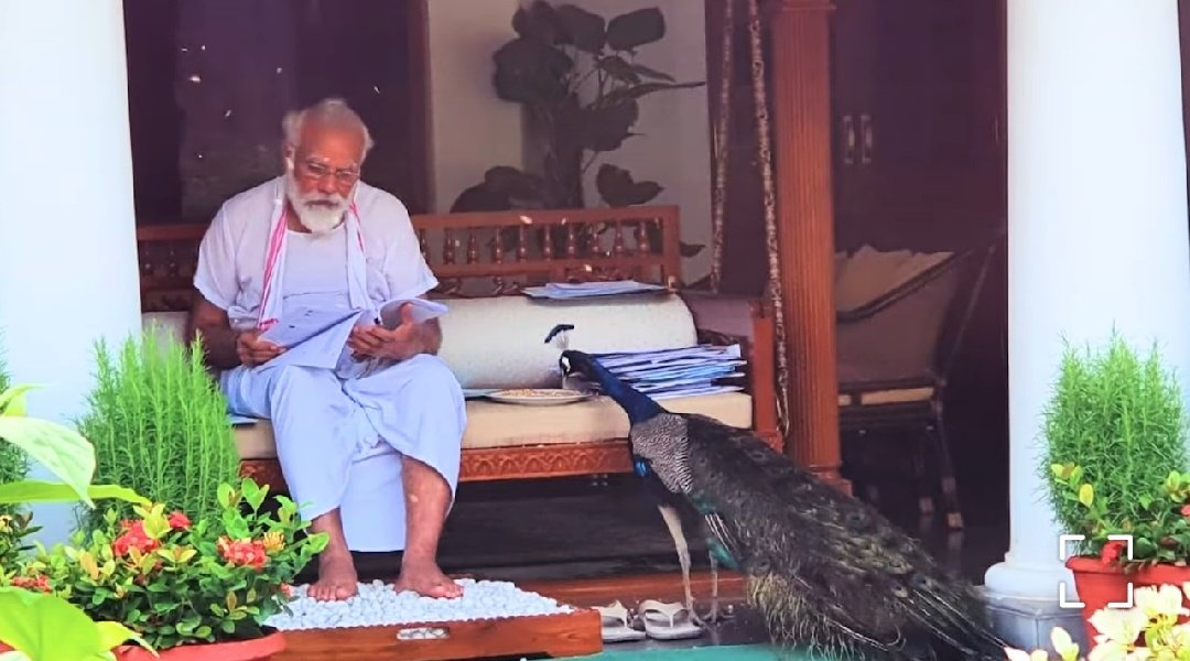 Harshadbhatt20's tweet photo. What a beautiful moment!!! 

See the simplicity of our Best PM, in 7 Lok KalyanMarg(PM Residence).
@narendramodi 
Simple living , High Thinking https://t.co/7uZypF0pMT