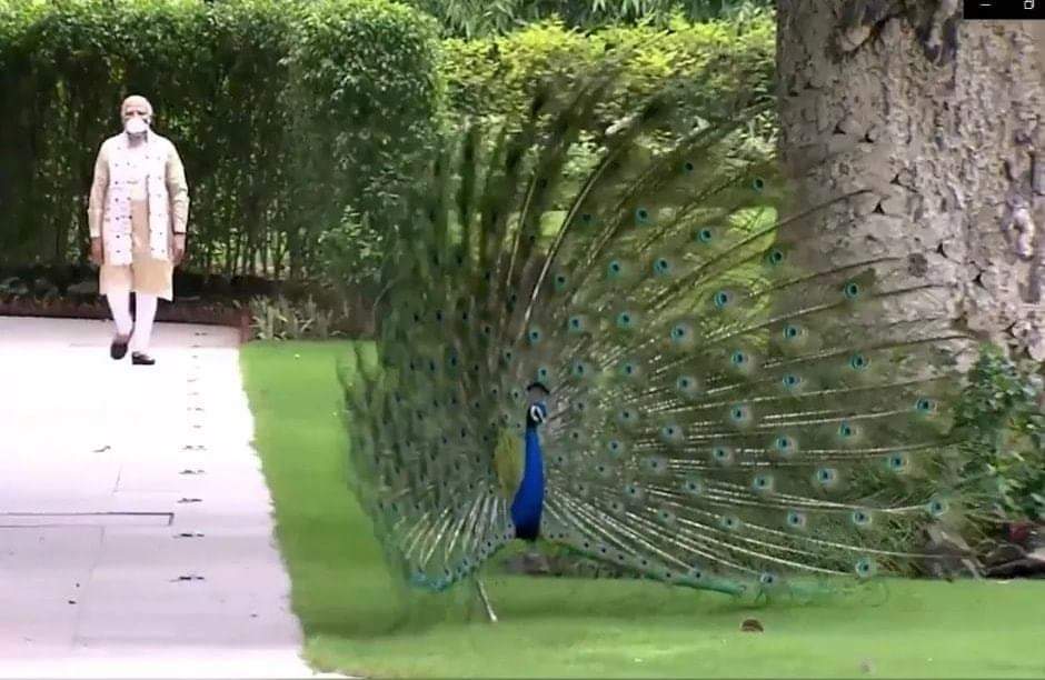 <a href="/narendramodi/">Narendra Modi</a> 
Sir #भारतीय #ग्रामीण #पोस्टल #नेटवर्क से जुड़े 270 #हजार #ग्रामीणडाकसेवक 73 साल से #engagement rules 3/A की वज़ह से #आर्थिक स्थिति से #कमजोर रहने से #सामाजिक #दायित्व में पीछे रह रहा है #मोर की तरह उनके भी #संभाल रखना #जरूरी है