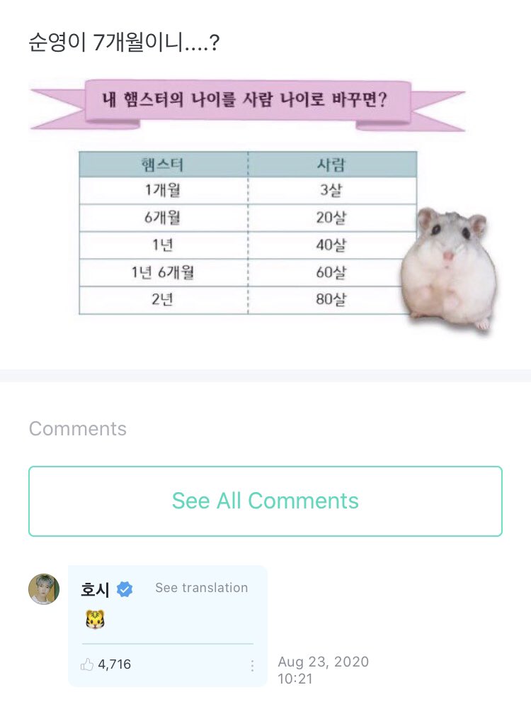 SEVENTEEN WEVERSE on X: From #호시 to fan: OP: Soonyoung are you 7  month.? #HOSHI: 🐯 > if you change a hamsters age to human age? 1 month  > 3 years 6