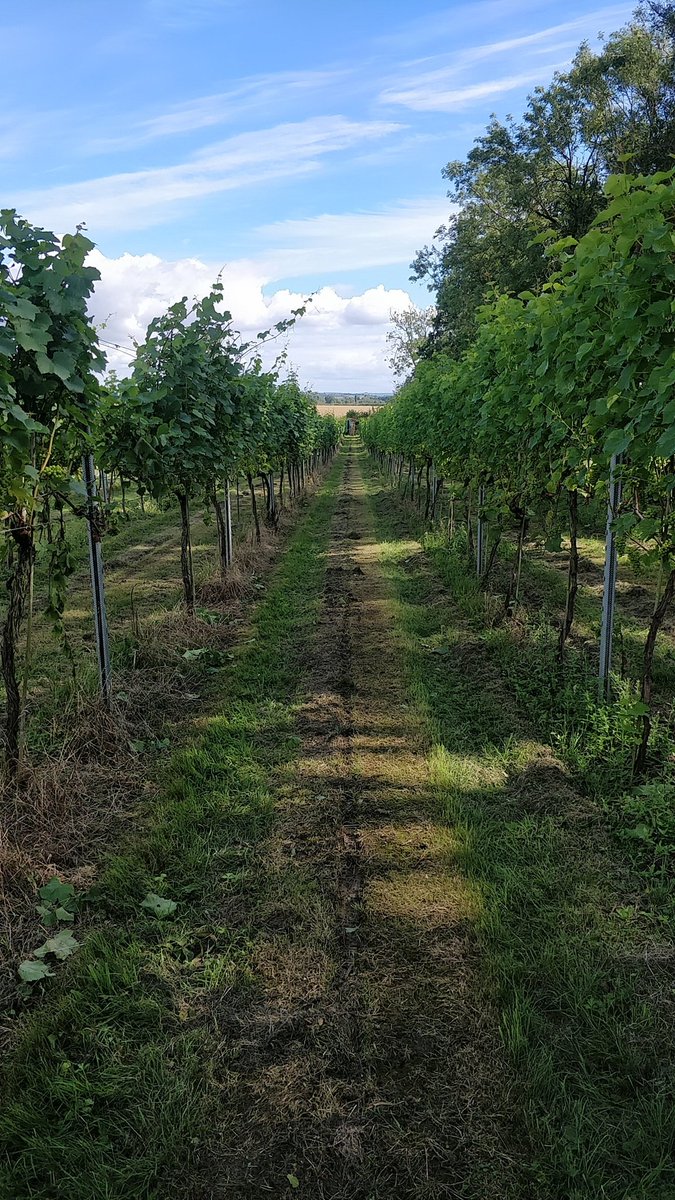 This could be the last spray run before harvest.. time to top and finish up some more siding up..