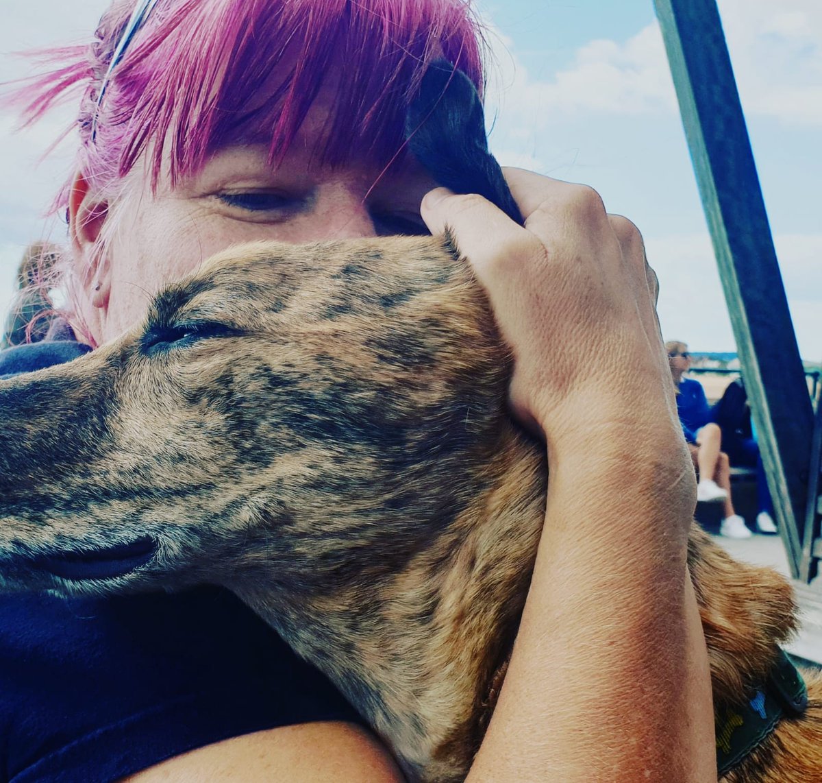 camping_fee's tweet photo. Me and my stripy boy on our trip away in Deal https://t.co/88cgpyANAX