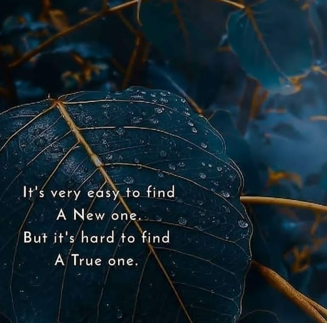 76Destiny76's tweet image. Wherever you are, I'm here ....maybe not in this life but maybe in next life 🤔🤔🤔