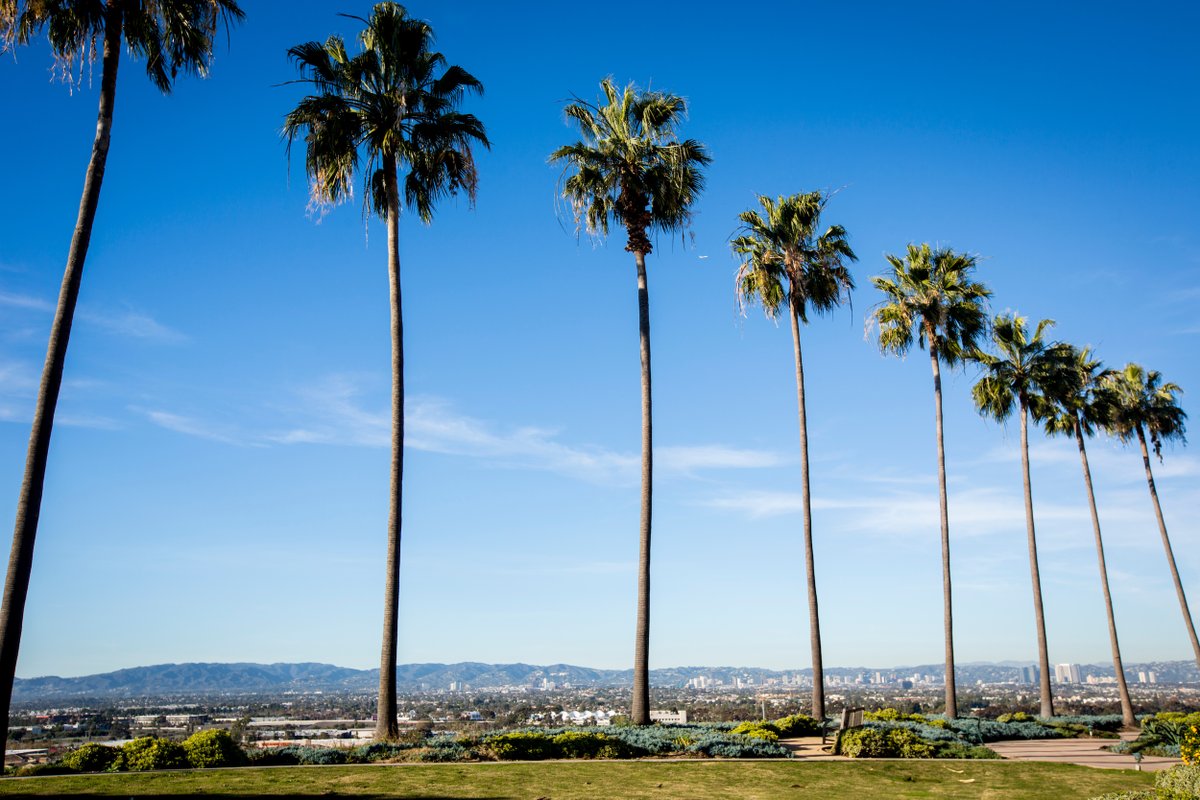 LoyolaMarymount's tweet image. Let’s hear it for our #LMU24 students and #TransferLions! 🦁🎉👏 Today we welcome our incoming class to the Pride at LMU’s New Student Convocation: lmu.edu/orientation