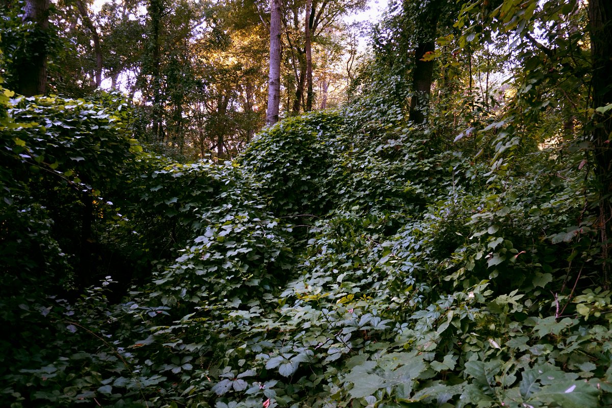 JplusRussell's tweet image. "Two Wildly Different Perspectives"