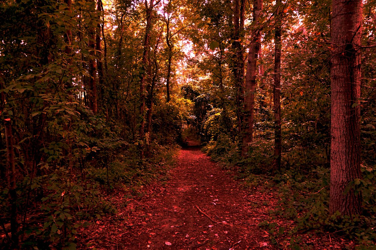 JplusRussell's tweet image. "Two Wildly Different Perspectives"