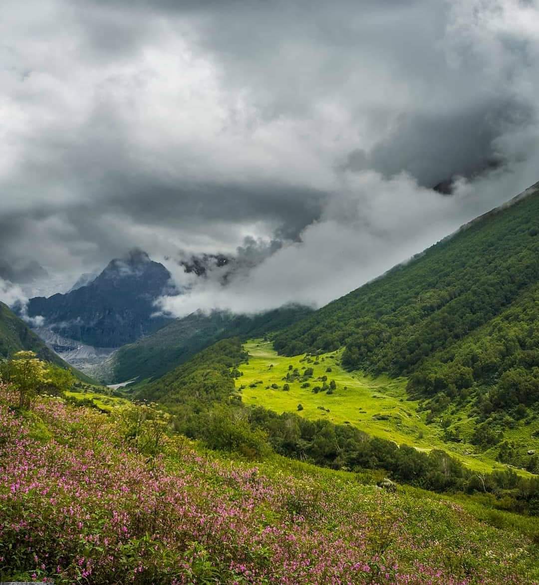 The Valley of Flowers
.
Photo @viewfinderprashant
.
#uttarakhand #valleyofflowers
#trekking #garhwal #mountains
. . . . . .
. . . . . .
To get featured, DM or tag us.
. . . . . .
. . . . . .
Follow us @uttarakhand https://t.co/LnZXNFdji7
