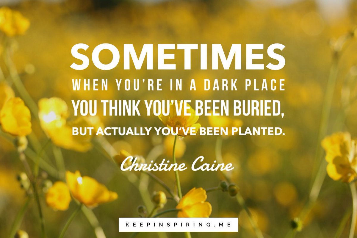 Lannah Campbell tweet media