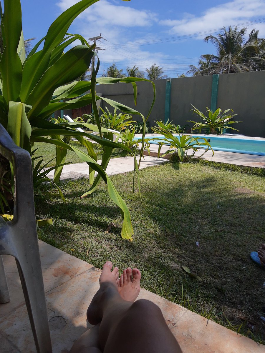 Domingo lindo ☀️