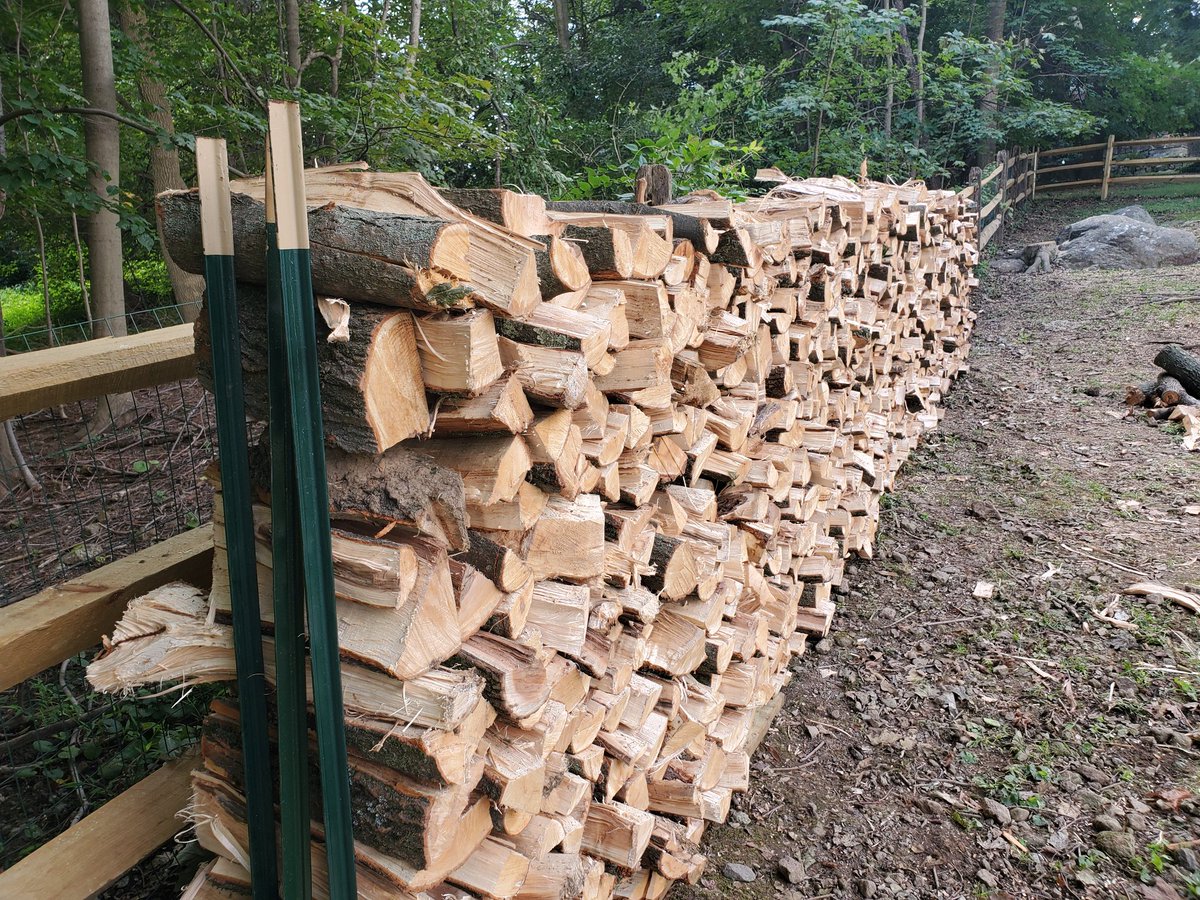 6abcadamjoseph's tweet image. A LOT OF WOOD
After cutting and stacking, this is what 1.5 cords of wood looks like. I swear it felt like a lot more!!!!
