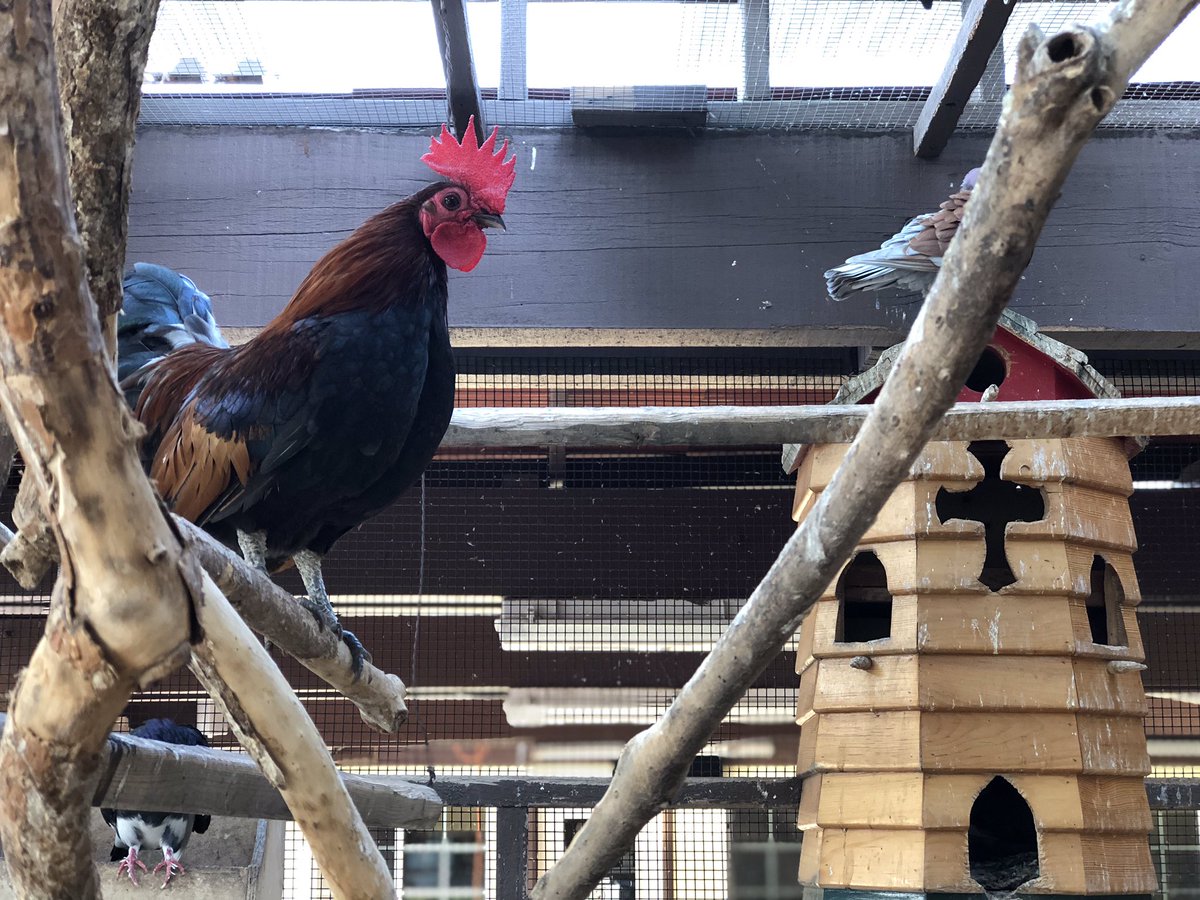 dachurchman's tweet image. Wake up... time to start another amazing day in 2020.