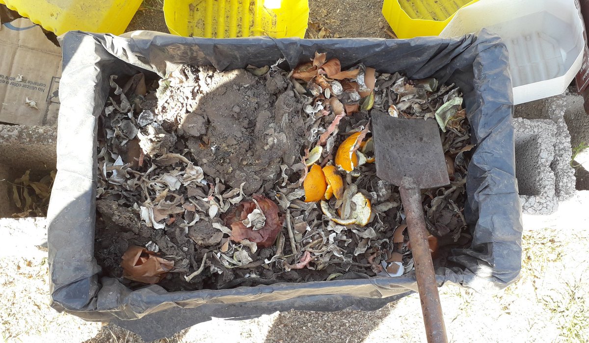 Charlessayala's tweet photo. #CompostEnCasa porque reducir los residuos es nuestro aporte.
Una política que es de Estado en la @municipalidadlr y que debemos replicarla juntos. https://t.co/FW0XRz7eCl
