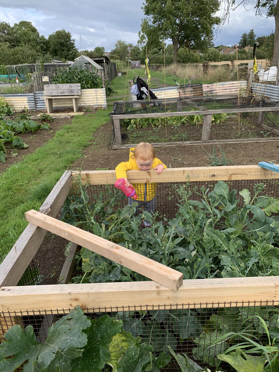 lucy_ot6's tweet photo. Afternoon of allotmenteering with my helpful waterer 😂 #AHPsActive https://t.co/gjnXtp4bj8