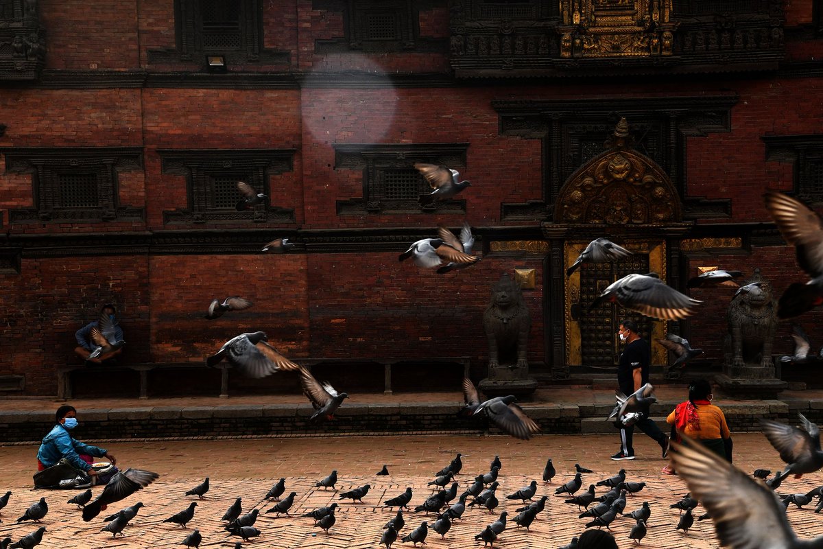 dpak_kc's tweet image. Morning at patan durbar square
#patandurbarsquare #pegion  #morning  #lockdowndiaries  #people  #mask  #heritagesite  #lalitpur  #nepal