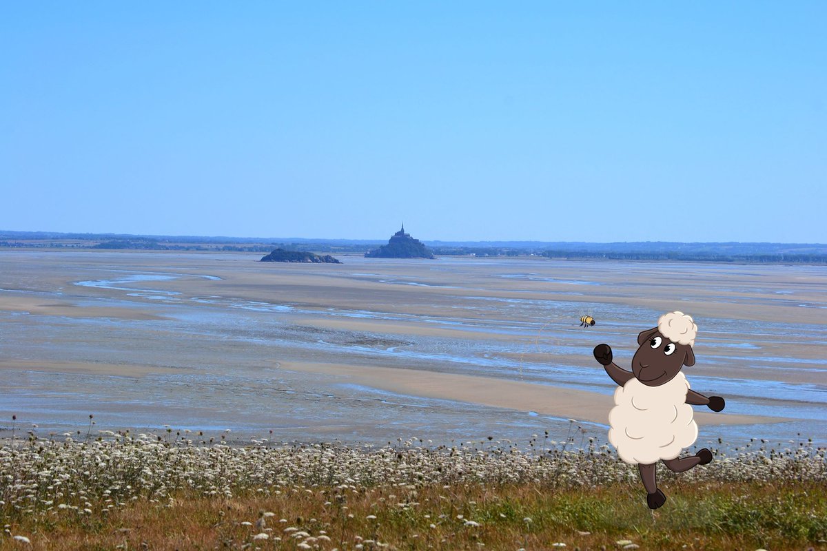 [INSOLITE] Quel plaisir d'avoir un espace de jeux aussi magnifique pour Patti ...