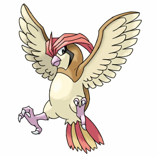 ピジョンのtwitterイラスト検索結果