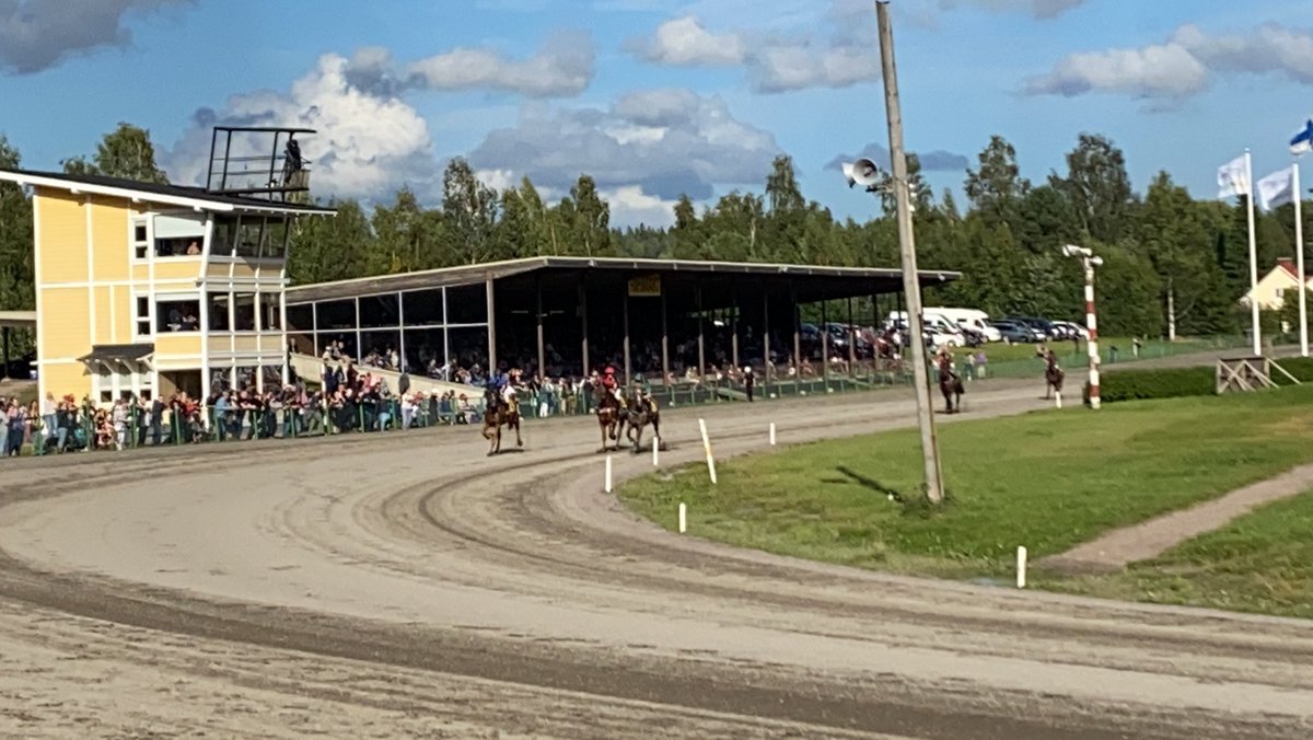 timoheinonen's tweet photo. Riihimäen kesäravikausi huipentui tänään Riksu GP:seen. Ja kesäsääkin palasi niin mikäs siellä kaviouran reunalla oli raveista nautiskella. Kiitos taas tästä kaudesta Riihimäen Raviseuralle. Ensi kesänä taas nähdään! ☀️🐴🥇 @RiksunRavit @totopelit @raviurheilu #riksugp https://t.co/0jZaAFtEhj