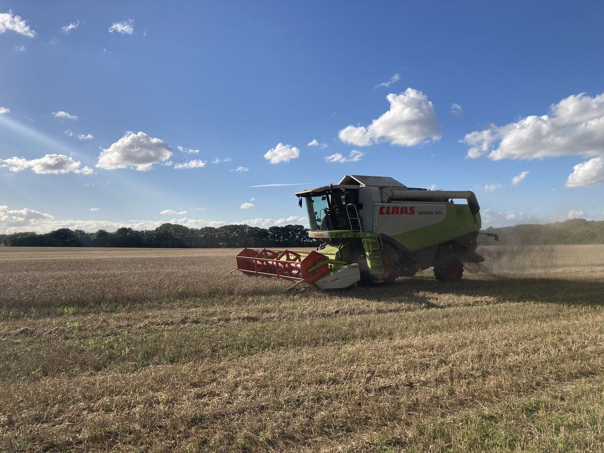 SpicerOnSab's tweet photo. #harvest2020 is go! (At last!) https://t.co/95StjTojTA