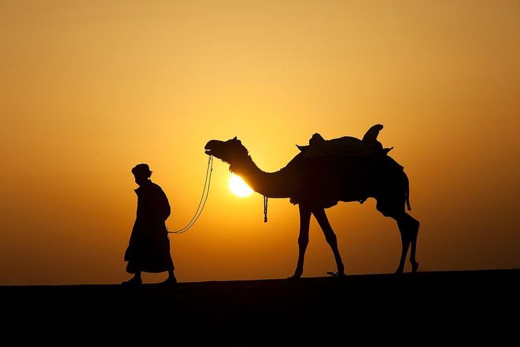 UnMusulmanSunni's tweet photo. لا يوجد فرص ضائعة
كل ما فاتك
لم يكن لك.

Il n'y a pas d'opportunités manquées 
Tout ce que tu as manqué 
Ce n'était pas pour toi. https://t.co/th8REdcunj