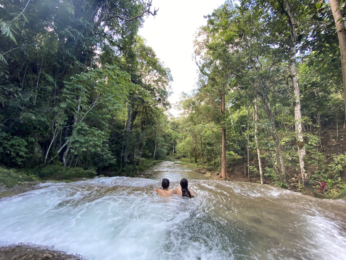 PapiGerger's tweet image. Kuyogi mi mangadto mi sa bukid 🍃