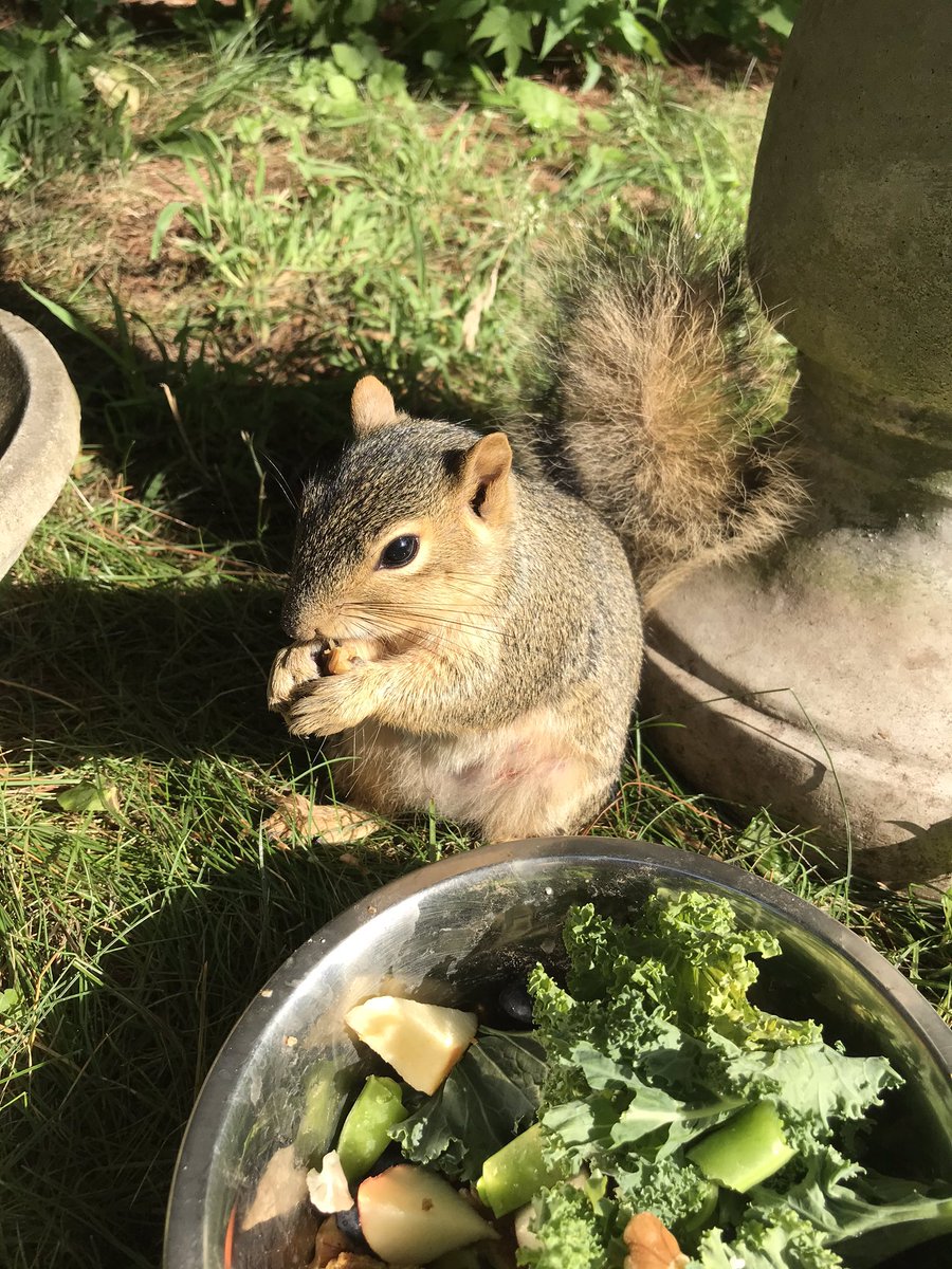 Some days I even eat salad.