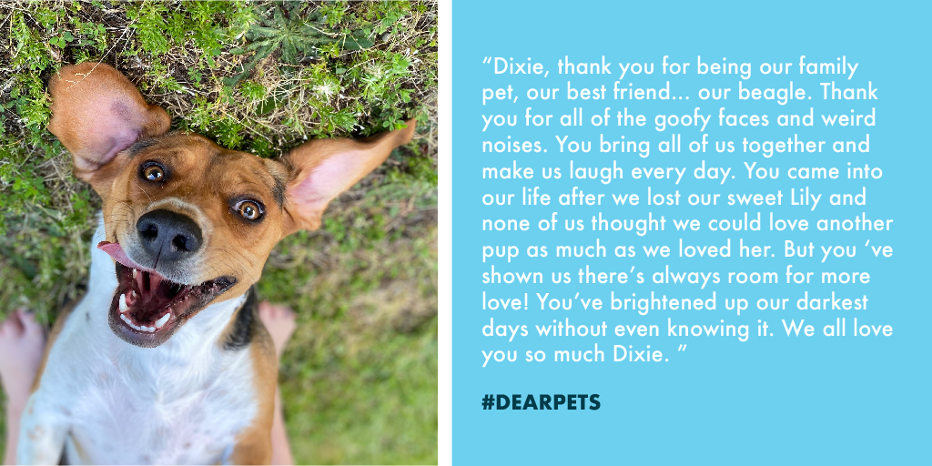 Dixie is famous for making funny faces. 🤪 This sweet pup typically keeps her family in stitches, but she’s also brought them comfort on days that were really difficult–so they decided to say thank you. #DearPets #fortheloveofpets