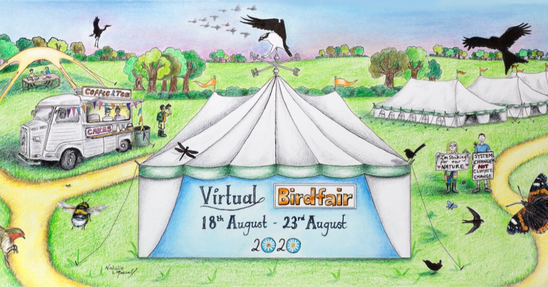 THANK YOU to everyone who took part in this year's first ever Virtual #Birdfair - we hope you enjoyed it! What was your favourite part of the event? @LeicsWildlife @Natures_Voice @WildlifeTrusts @RSPBbirders @BirdGuides @BirdLife_News