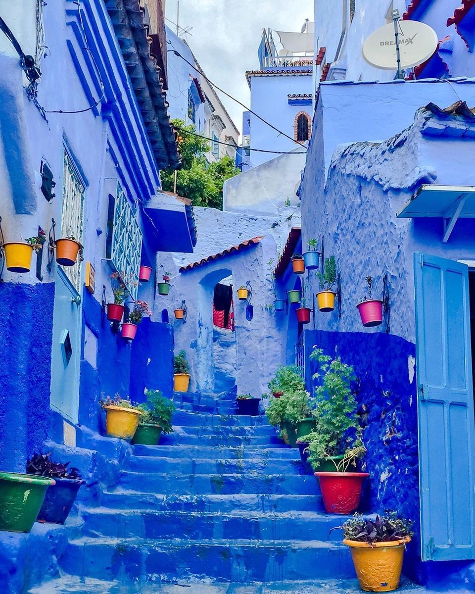 ColorfulMorocco's tweet photo. ⠀
📍Callejon El Asri ; Chefchaouen The Bkue Pearl 💙🇲🇦⠀
.⠀
Chefchaouen is truly a unique place. Every street corner and alley you will see every shade of blue imaginable. Wow....

📷IG: sahilibby
🔗➡https://t.co/yblve82G1m
#travel #morocco #maroc https://t.co/NTqrfThlmP