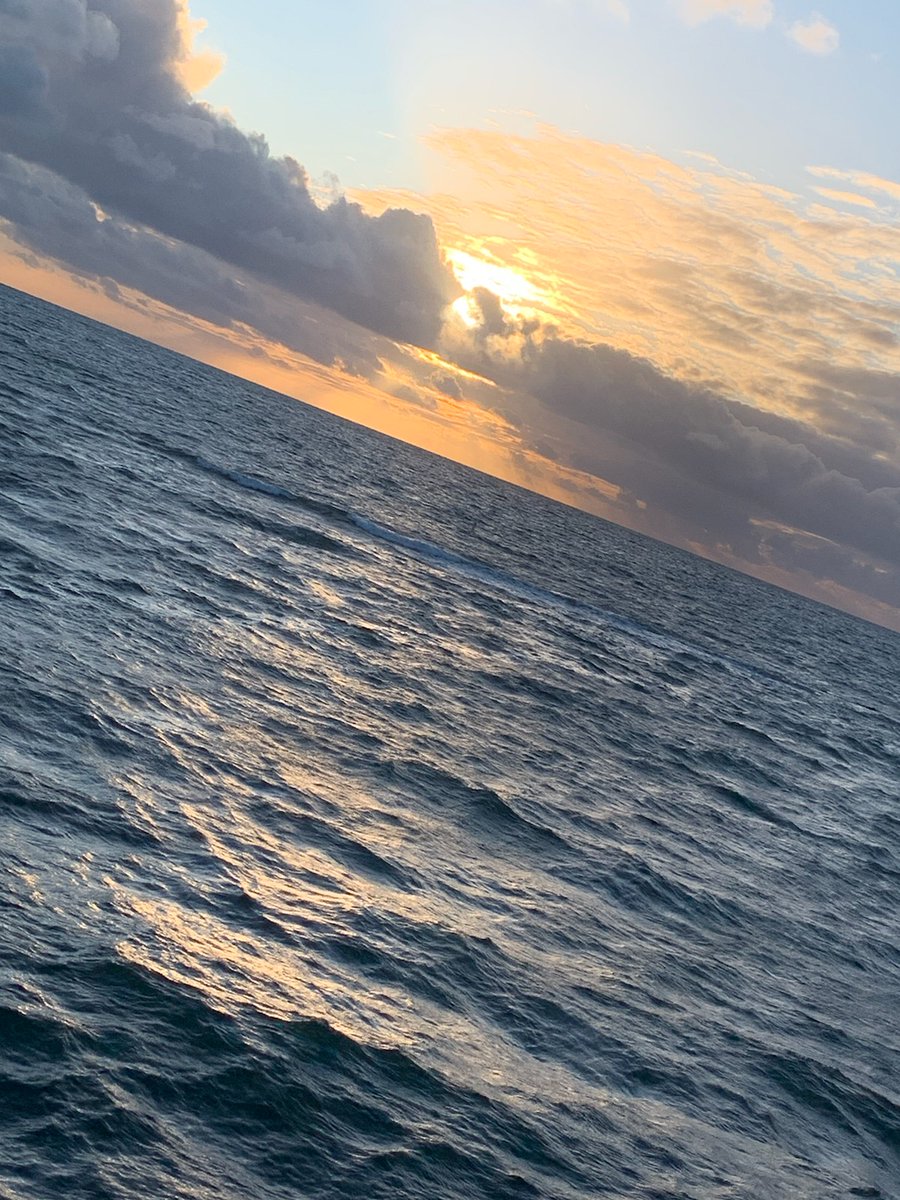 New start to a new horizon! San Diego im here! Im up for this new challenge.... #1034 #sandiego #otaymesa <a href="/boadkins11/">Clara Adkins</a> <a href="/DannaJason1/">D'anna Jason (my tweets are my own)</a> #gardends #keycarrier