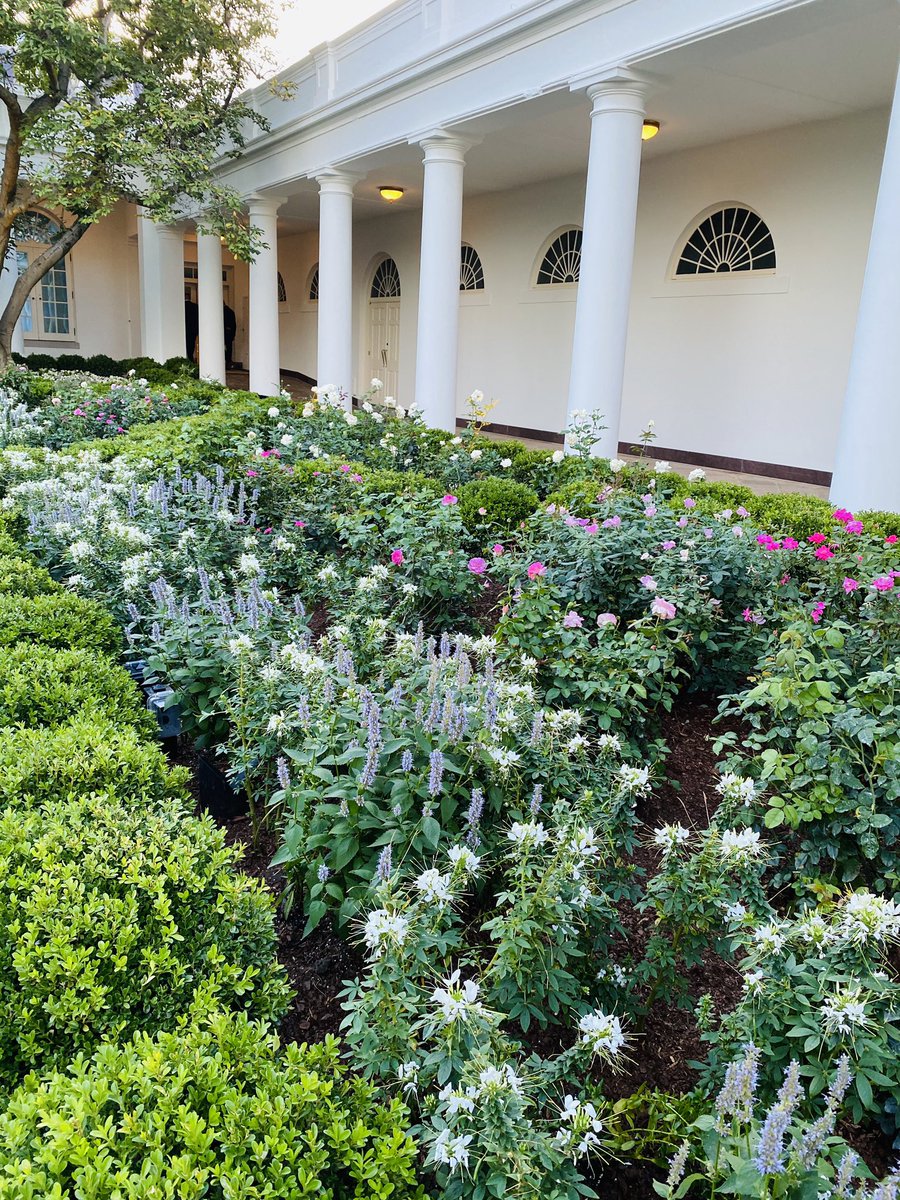 I encourage you to read Kate's article because she explains the garden needed repair. Drainage and structural issues develop in any garden. This space is used for press conferences and White House events.