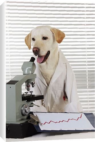 PFTCommenter's tweet photo. Air bud 9: Diagnostic Lab’s https://t.co/VMYrL2nZvE