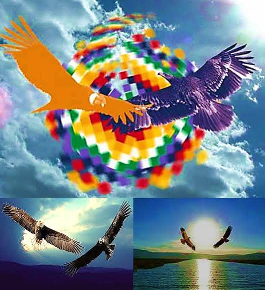 ÁguilaCóndor (@leonardomirel) on Twitter photo 