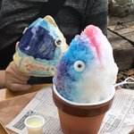 インパクトありすぎ!リアルすぎるかつおのあたまかき氷‼