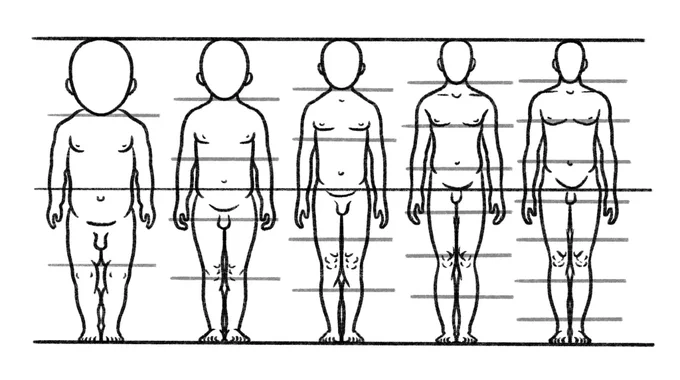 年齢別のおおよそのプロポーション。左から1歳(4頭身)、4歳(5頭身)、9歳(6頭身)、16歳(7頭身)、25歳(7.5頭身)。 