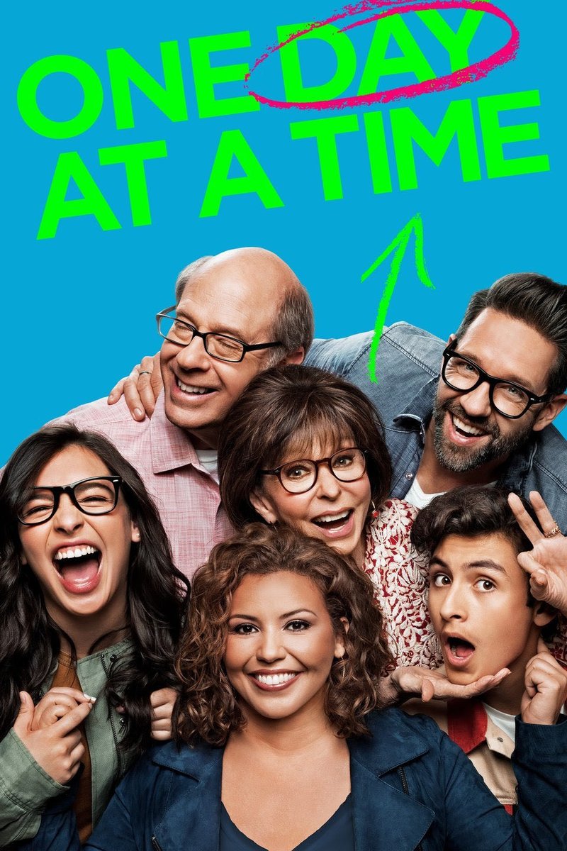 Examples:- One Day at a Time (picked up by PopTV)- Tuca and Bertie (picked up by Adult Swim)- Everything Sucks!- Anne with an E- Santa Clarita Diet- Patriot Act with Hasan Minahj- Sense8- The OAand so much more