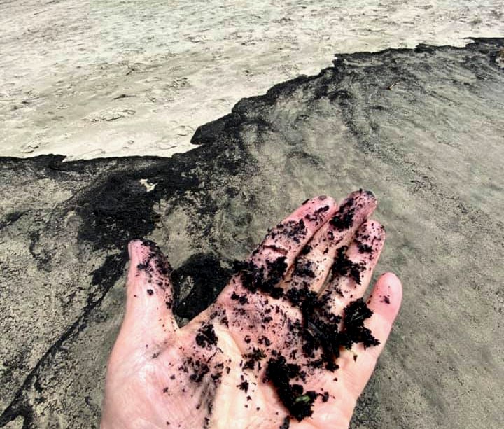 AmyLarson25's tweet image. Here's what the beaches in Santa Cruz County look like this weekend. ASH is falling from the sky from #CZUAugustLightingComplex fires. Air quality is unhealthy. @CityofSantaCruz says: "Do not visit us now. We’re dealing with an unparalleled catastrophe."
(📸by Steven Yarbrough)