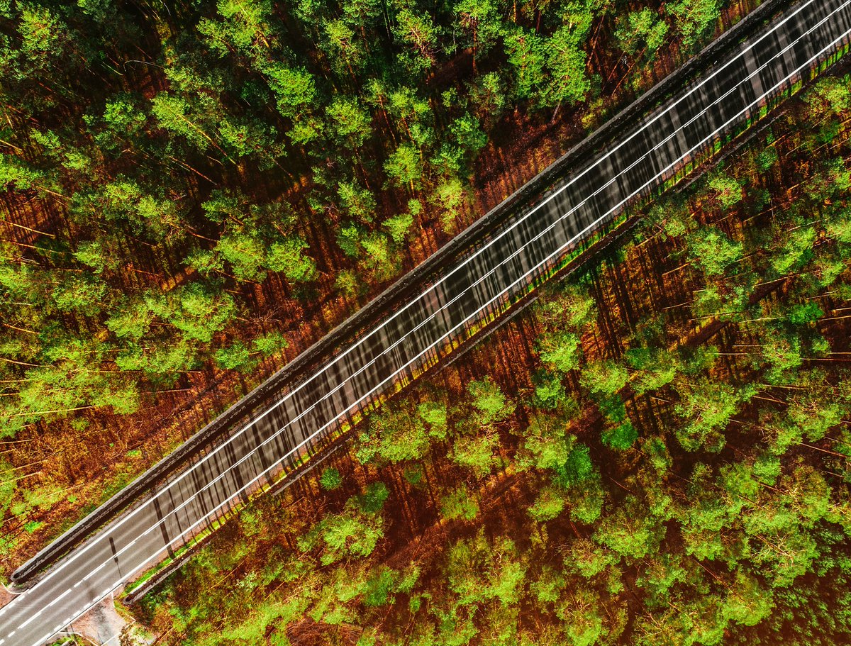 fotoinni's tweet photo. Top down 🌳💚🚁🔝

#sunset #zachodslonca #fotoinni #zachódsłońca #slask #śląsk #lovesilesia #topdown #dronecapitol #djiars https://t.co/7JVH2k9u4c
