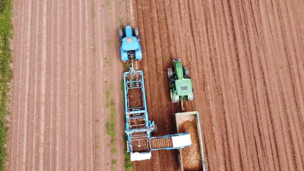 Lifting potatoes overlooking  Whitsand Bay this week. If you're interested in what we've been up to recently, take a look at our instagram: instagram.com/tv/CEPZ0USnEG1…  @agricolagrowers