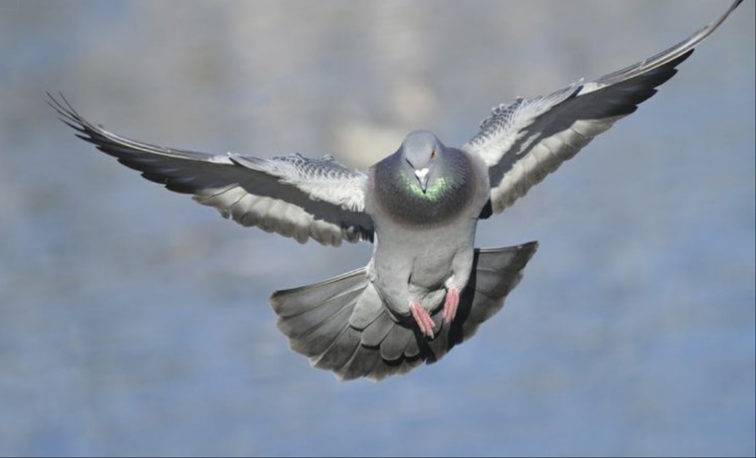 We're desperate to spread our wings and F L Y again and can't wait to get back into one of our new baggsied specs in Kenny tomorrow. 

We'll be meeting up to go back over the site with covid eyes with a view to a show in some guise or other a bit later on in the year 👁👁
