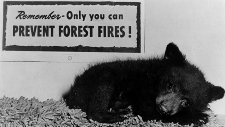 As a child of the 80's, when I heard Smokey Bear saying "Only you can prevent FOREST FIRES!", I mistakenly thought this meant that "All fires near trees are bad." I now know this is a childish way to think about it. Let's look at  @smokey_bear's website to learn more