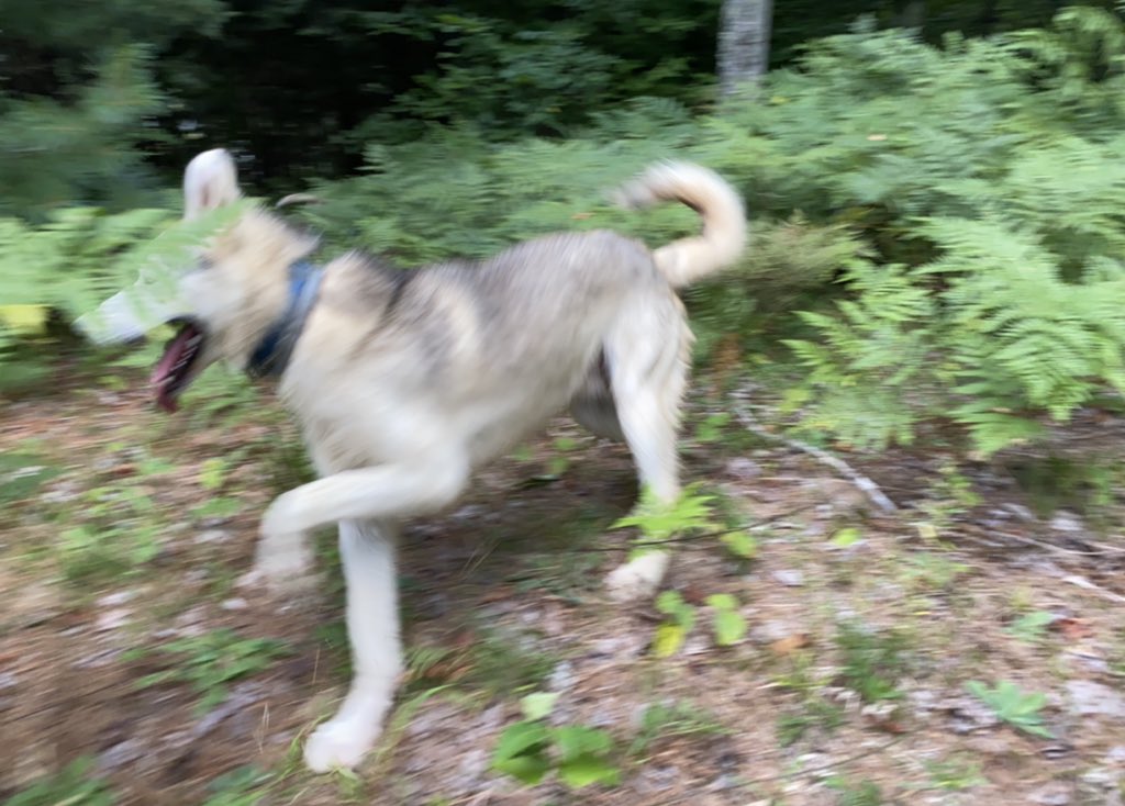 He didn’t catch her. But he was pretty pleased with himself for trying.