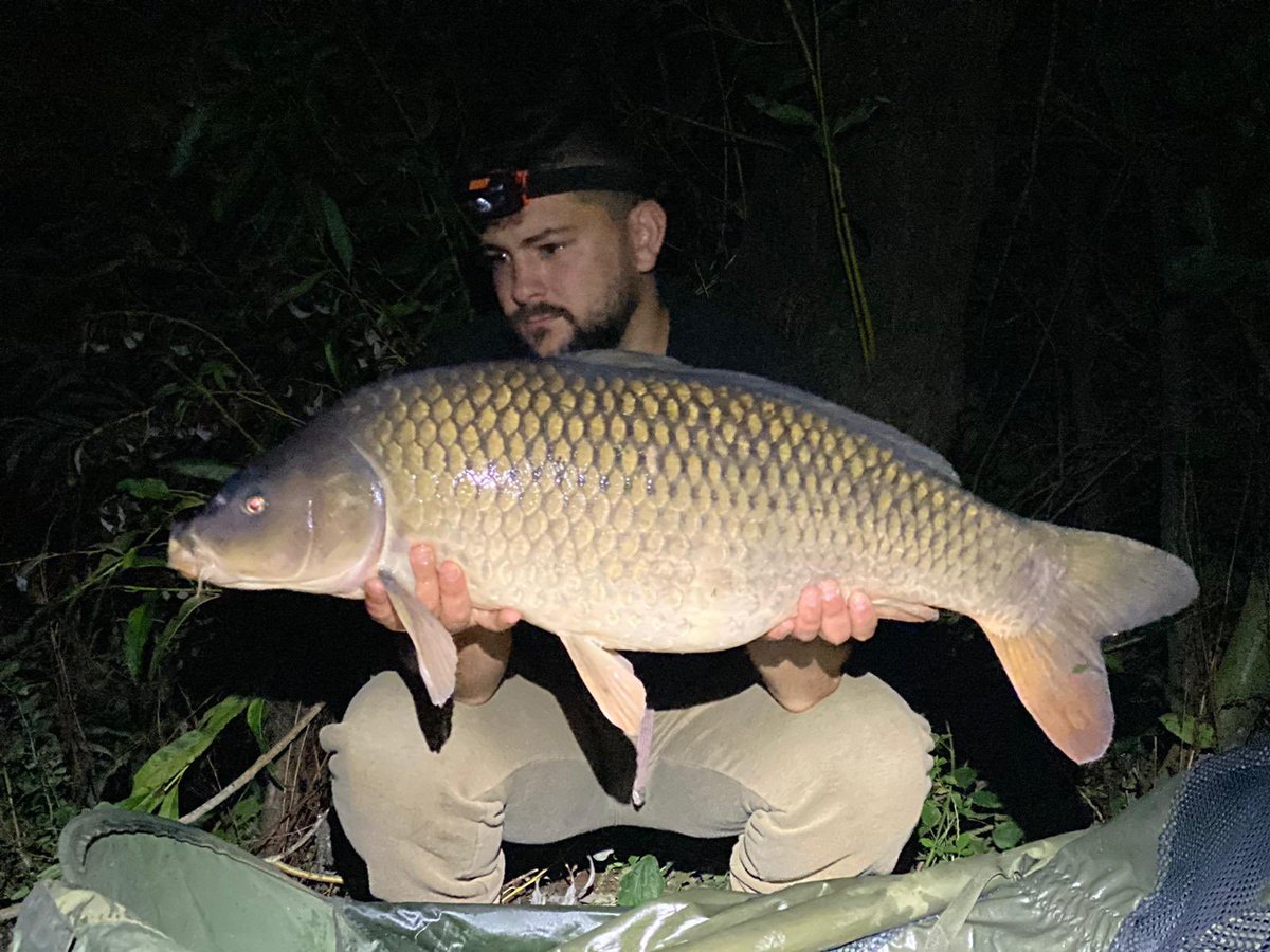 Richardangler's tweet photo. Great weekend at Linear Fisheries Official on Hardwick lake. 10 fish between the 3 of us. Biggest being 29lb. Unfortunately one of mine was a trailer but I’m happy I managed to get it in and get the hook and lead off of it. All of my fish fell to Magical Baits high attract pop up https://t.co/cPixXSmRpL