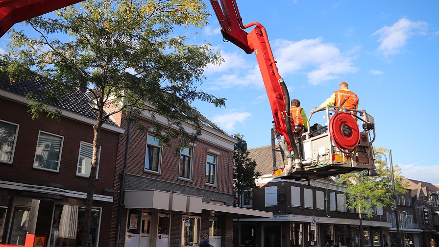 Brandweer Veghel doet verwoede pogingen om dwergpapegaai te vangen..