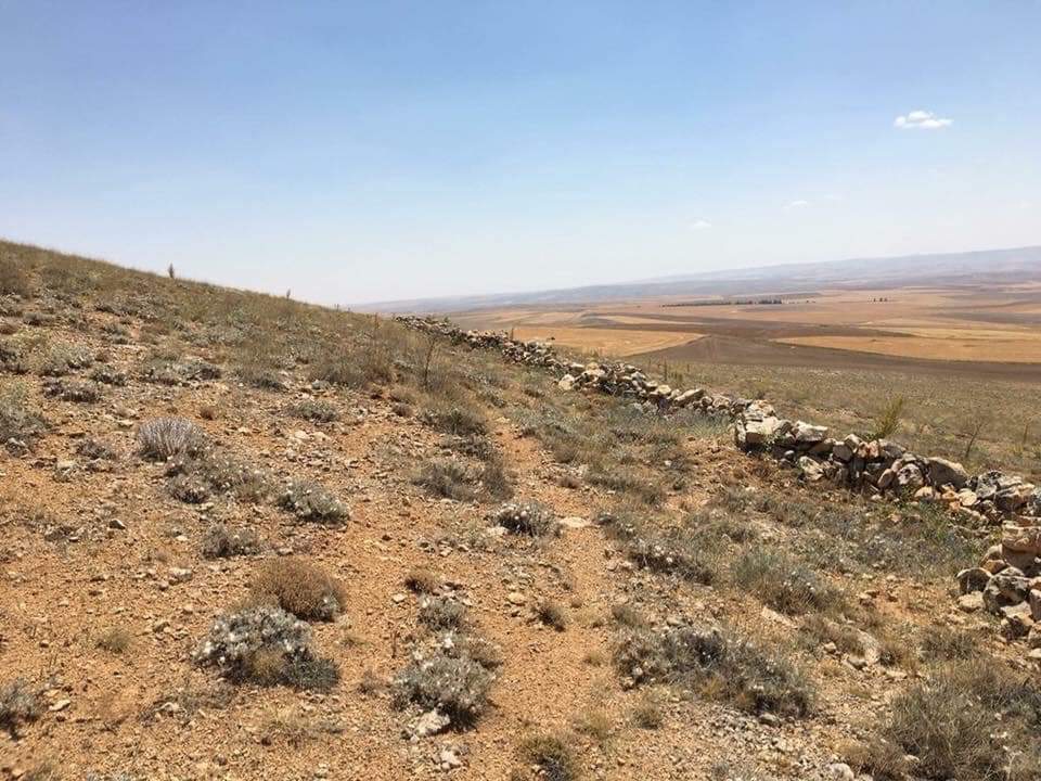 HarpCografyasi's tweet photo. (1) 23 Ağustos 1921
99 sene önce bugün, bu saatlerde, Haymana'nın yaklaşık 30 km güneyindeki Mangal Dağı'nda can pazarı yaşanmaktadır.
Saat 11:00 gibi Yunan 1.Tümeni'nin taarruzuyla Sakarya Meydan Muharebesi başlamıştır.++ https://t.co/KTWkalNLug