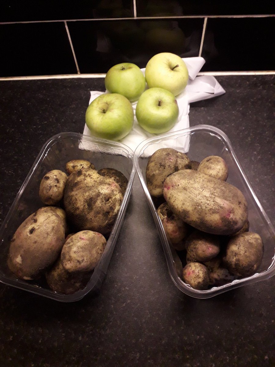 🐻Dave The Bear 🐻 tweet media