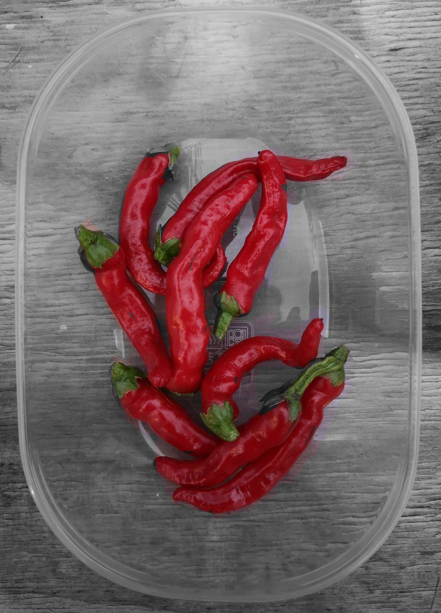 M@rtin Goedbloed tweet media