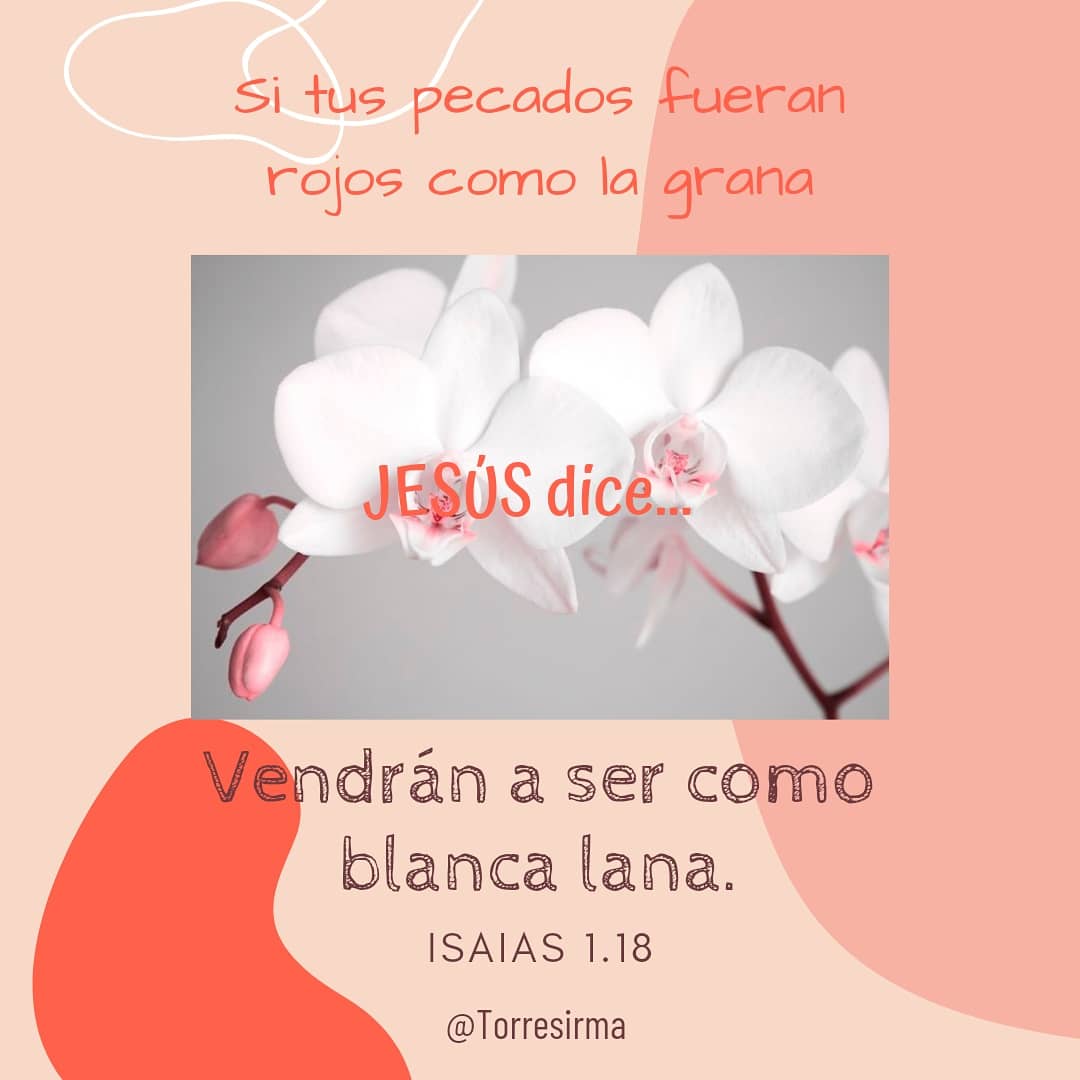 irmatosu's tweet photo. 📍Vayamos a Jesús la fuente del perdón!❗🙏#PrimeroDios #rpsp2020 #rpsp #DevocionalesDiarios #iasd7 https://t.co/ceunbbIVM4