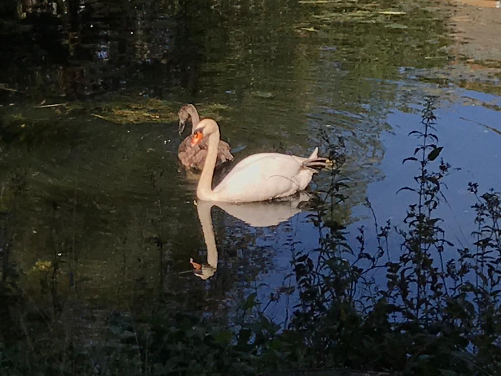 I hope your weekend has been as relaxing as it was for these guys!

It's been great to see and meet so many different people and have them enjoy the service and the grounds.

#service #mah #views #retreat #countryside #worklife #lakefriends