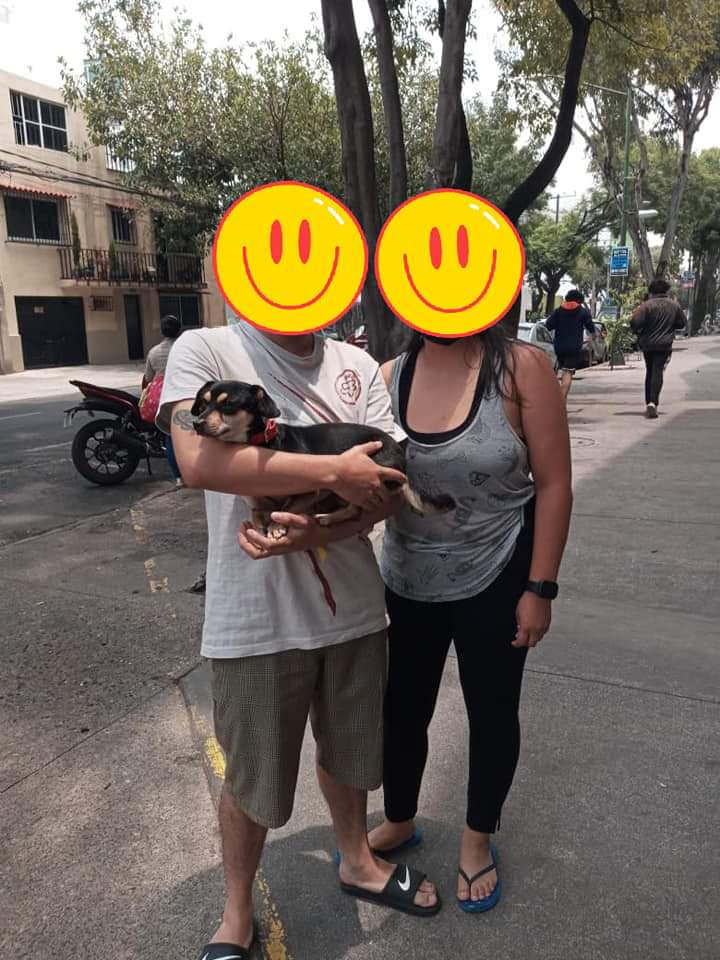 Apoyo_Croqueton's tweet photo. #Actualizamos #SNOOBY #ADOPTADO Gracias por sus RT #CDMX Quieres apoyar a Ivette Info 5564155557 @akyoshi09 @criswire282 @jairocalixto @naaniml
@AGabrielaVives @PaolaFrida @8alobo @inakimanero @geriky @divaislam @EsEstra @JerrxG13 @AnadeSinaloa1 @Ariadnaarcinie3 @mayumiguillen https://t.co/LNXTwUpxd8