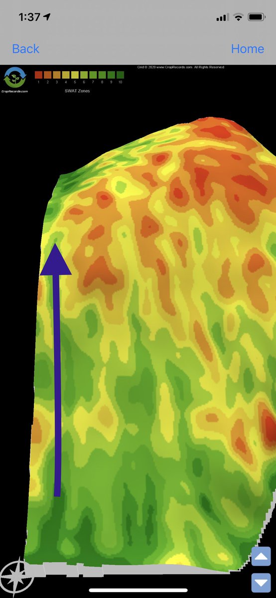 CropProCory's tweet photo. Variable rate varieties & N rates at #precisionag research site #swatpars was a #maturity evening success. I’m standing on midsope (zone 5 yellow) where 233 & 255 were blended looking south to zone 10 depression thats all 233. Neighbor across road - hills ripe & depressions green https://t.co/YZCpTKGxmM