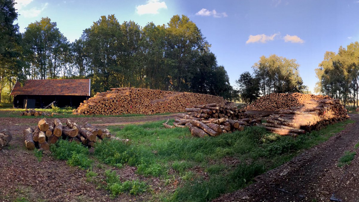 leo_kemper's tweet photo. #Parel #Boetelerveld @Natura2000 #werkzaamheden die nodig zijn om er weer een #juweeltje van te maken #natteheide #heide #Salland #omdehoek @LandschapOV @drentslandschap @ProvOverijssel @HellendoornOV @GemeenteRaalte @volgdenatuur #klokjesgentiaan #kamsalamander @LTONoord https://t.co/3u37o0aKxv